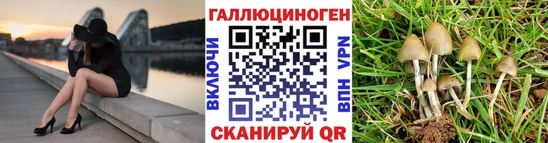 Купить где Волжск Галлюциногенные грибы мухоморы